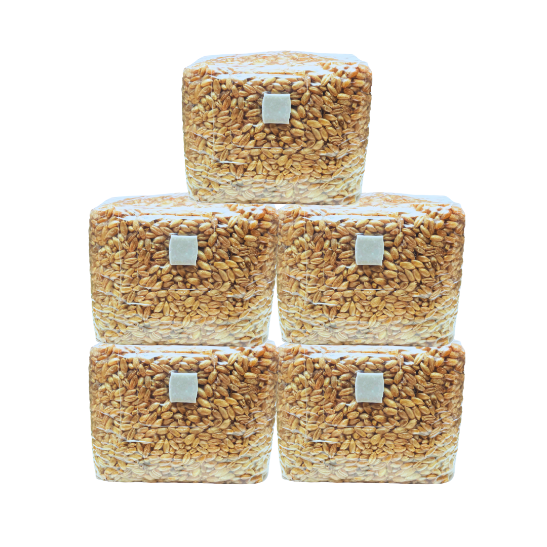 Roggen Körnerbrutgrundlage 650g