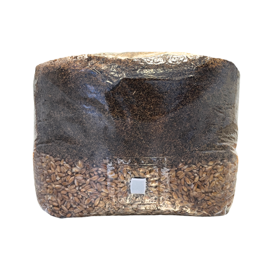 Masters Mix AIO Substrat 3000g