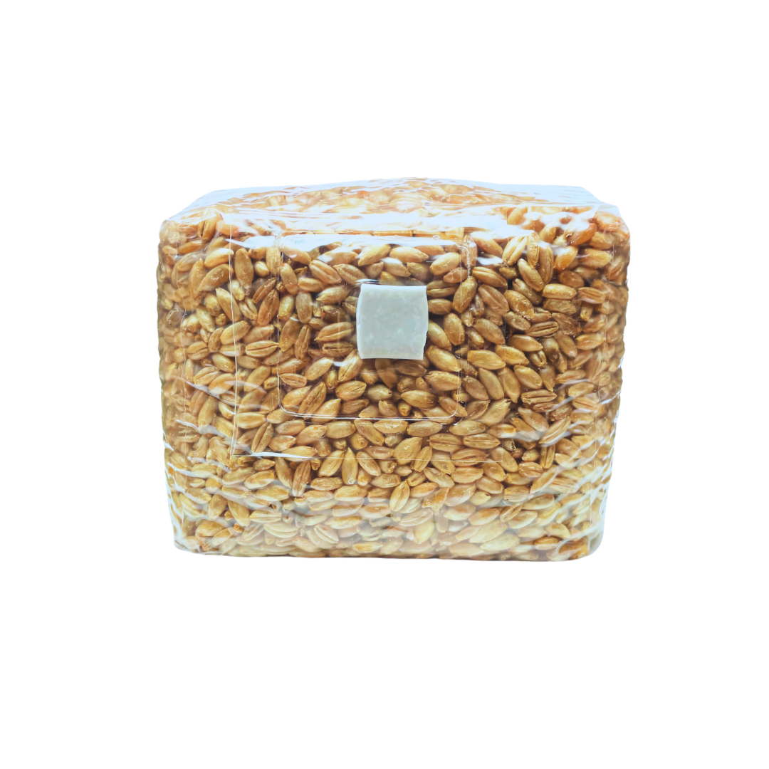 Roggen Körnerbrutgrundlage 650g