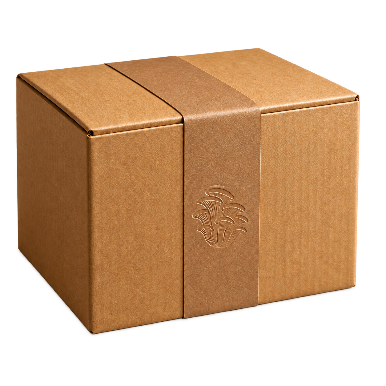 Freigestelltes sicher verpacktes Versandpaket