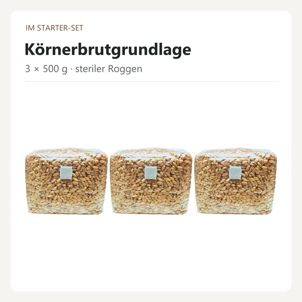 Drei Beutel sterile Körnerbrutgrundlage mit je 500 g Roggen