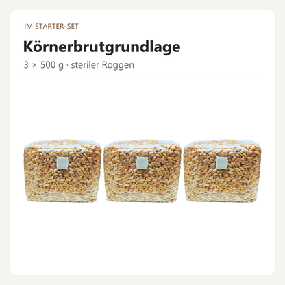 Drei Beutel sterile Körnerbrutgrundlage mit je 500 g Roggen
