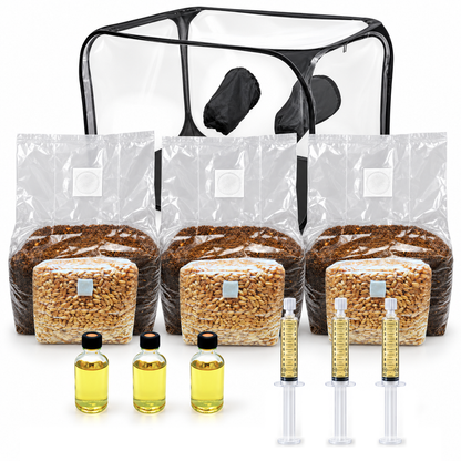 Großes Pilzzucht-Starter-Set mit Glovebox und den Ausgangsmaterialien für drei Pilzarten