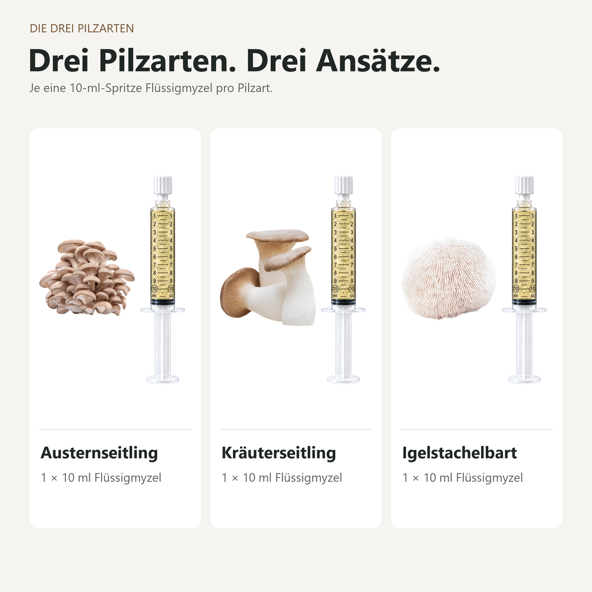 Austernseitling, Kräuterseitling und Igelstachelbart mit je einer 10-ml-Flüssigmyzel-Spritze