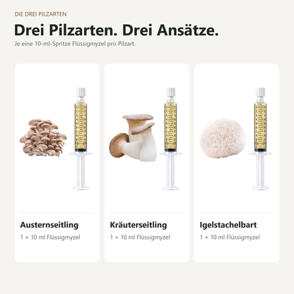 Austernseitling, Kräuterseitling und Igelstachelbart mit je einer 10-ml-Flüssigmyzel-Spritze